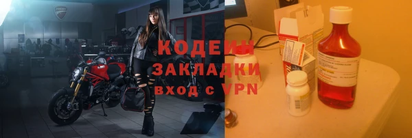 крисы Богородицк