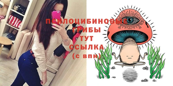 крисы Богородицк