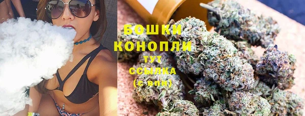 крисы Богородицк