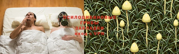 крисы Богородицк