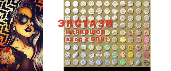 крисы Богородицк