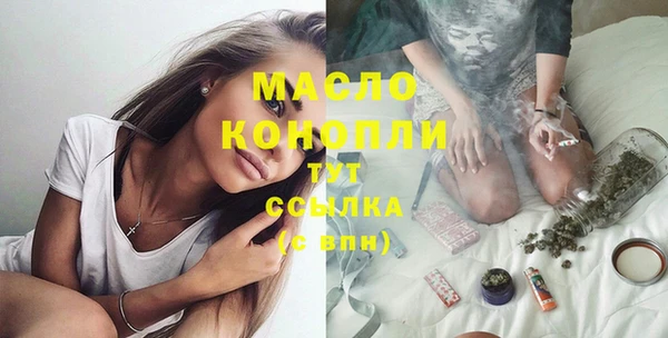 крисы Богородицк