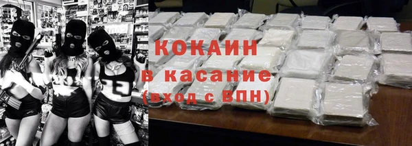 крисы Богородицк