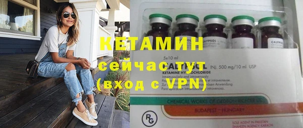 крисы Богородицк